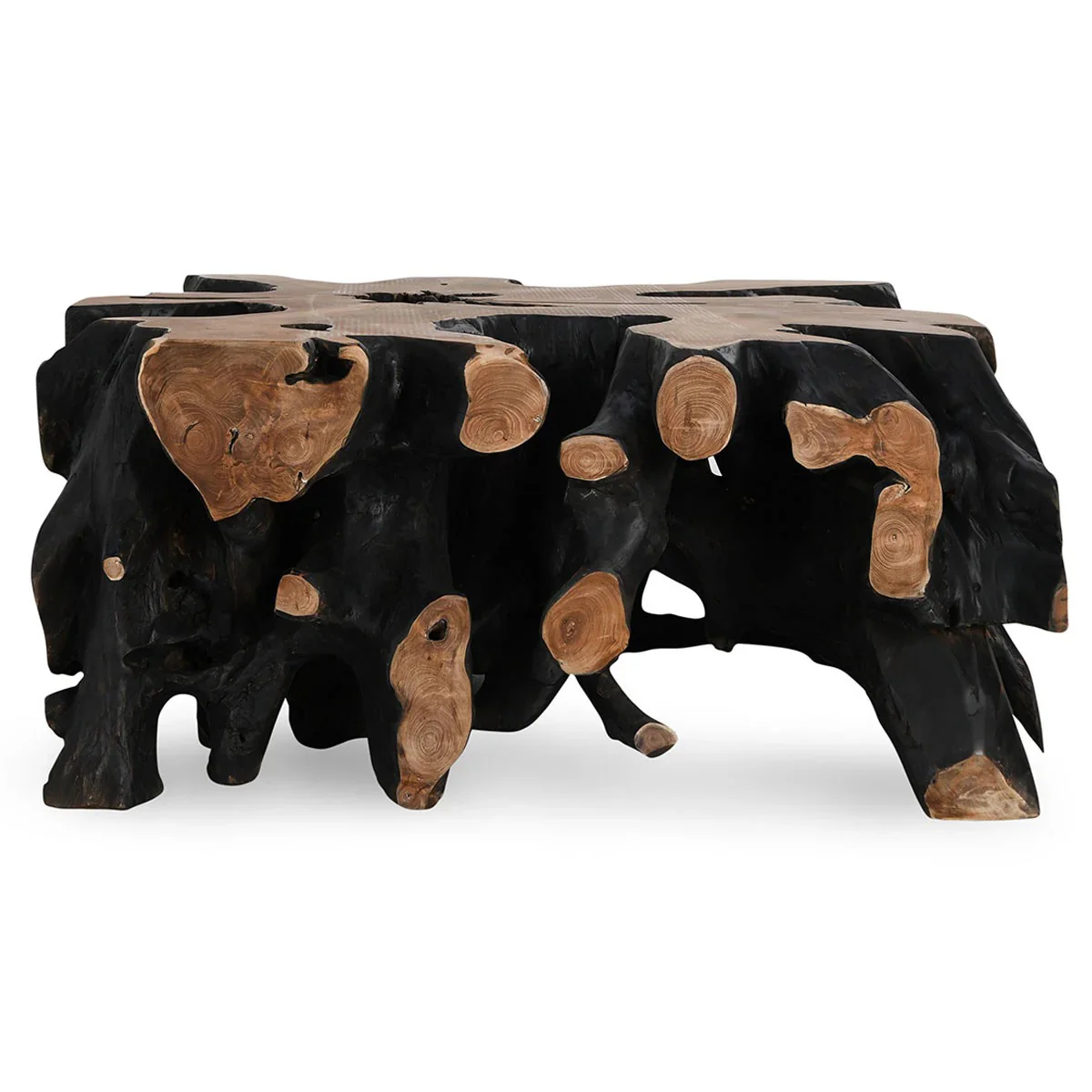 Cypress Teak Root Coffee Table - Image 2
