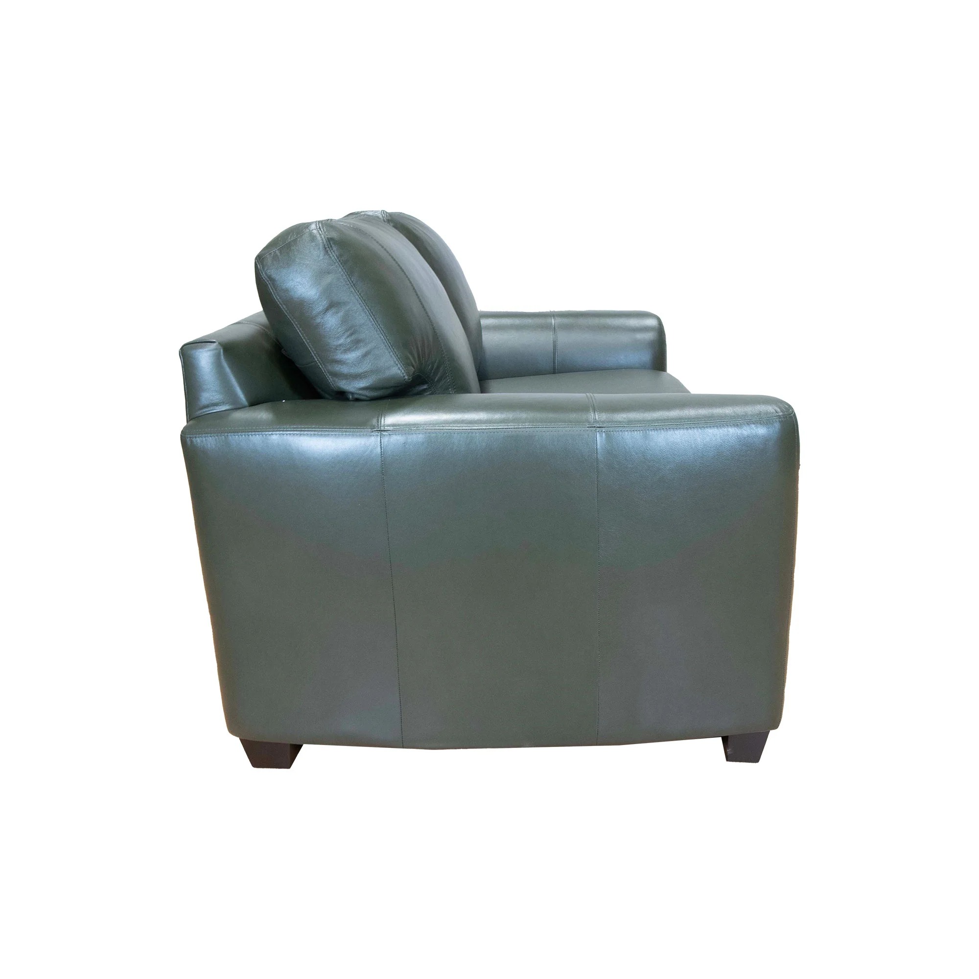 Dempsey Loveseat - Image 4