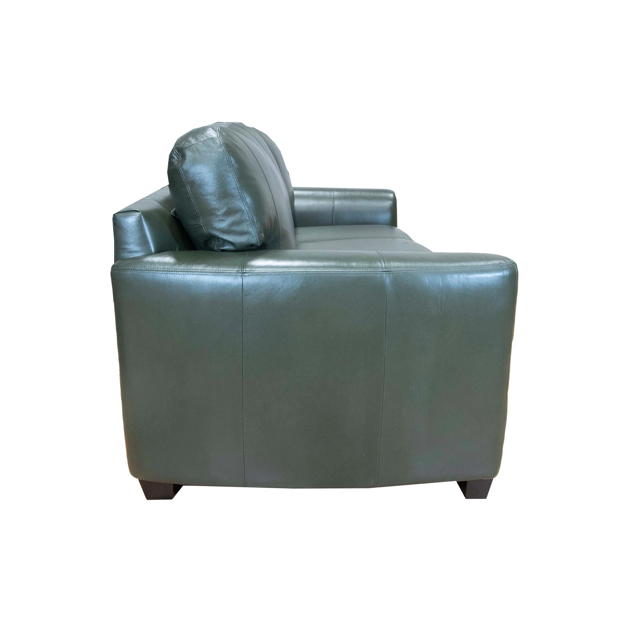 Dempsey Sofa - Image 4